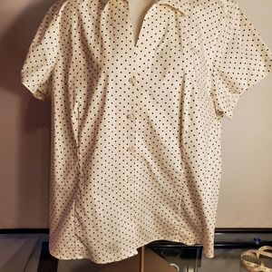 Jones New York Collection Woman 18W NON-IRON White Shirt with Black Dots